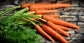 Carrots - Variety