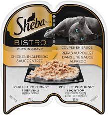 Cat food