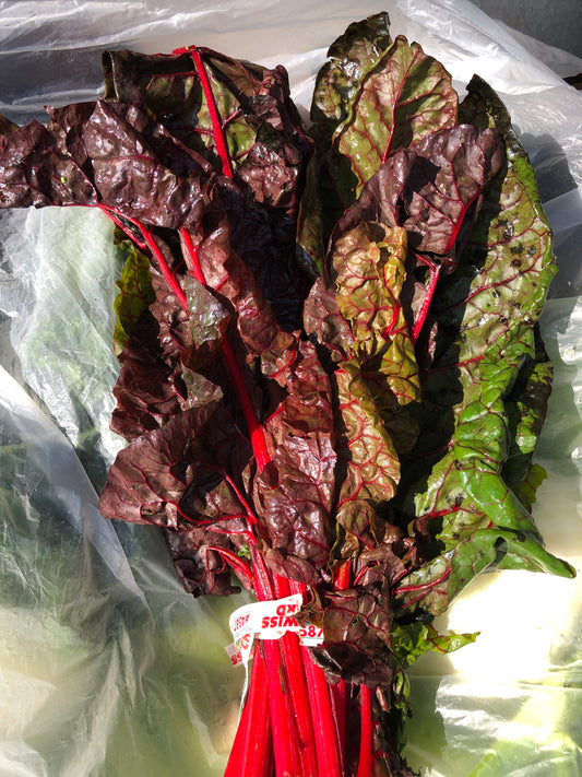 Swiss Chard