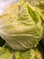 Cabbages - Variety