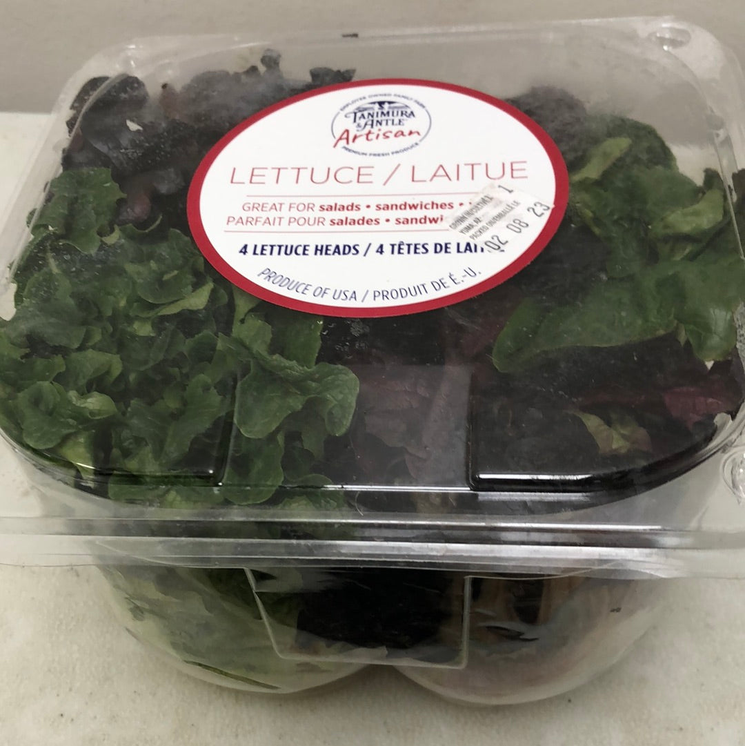 Lettuce - Variety