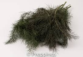 Fennel Fronds