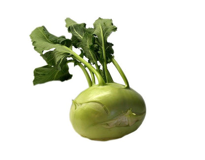 Vegetables - Fresh