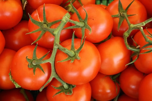 Tomatoes - Variety