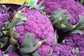 Vegetables - Fresh